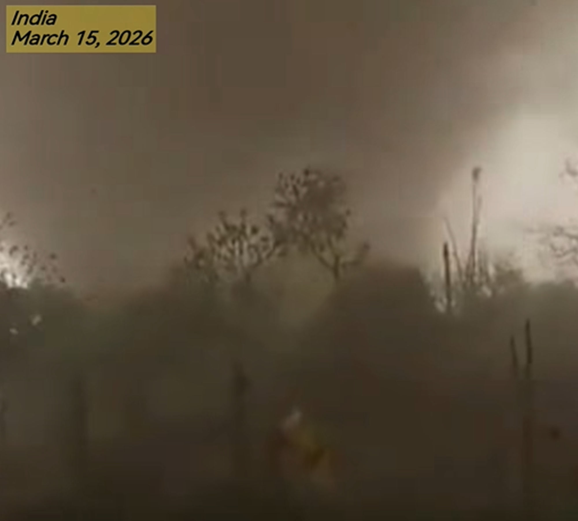 Tornado strikes Odisha Town, killing two — Are extreme weather events becoming more frequent in India?